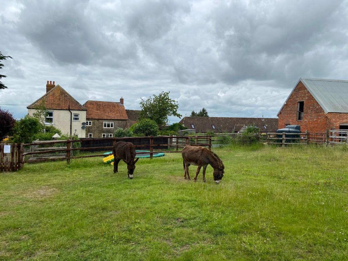 Rew Farm Country & Equestrian Accommodation - Sunrise Lodge เมลค์แชม ภายนอก รูปภาพ